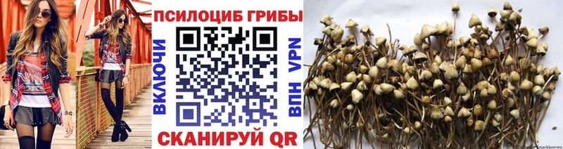 Галлюциногенные грибы Psilocybine cubensis  Орёл 